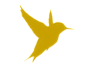 Kaahira